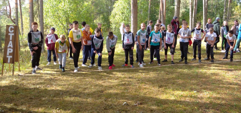 28 сентября МБОУ Новосельская ООШ принимала спортсменов района на традиционных соревнованиях «Кросс наций – 2022».
